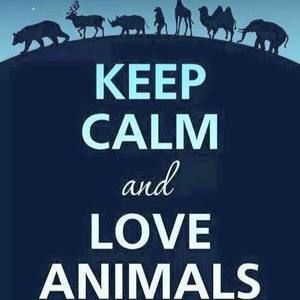 Meet your Posher, Meag